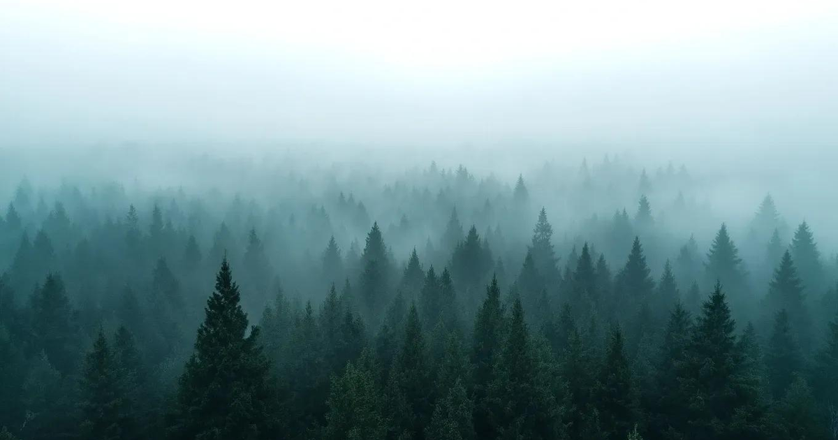 FLUX.1 [pro] de Black Forest Labs