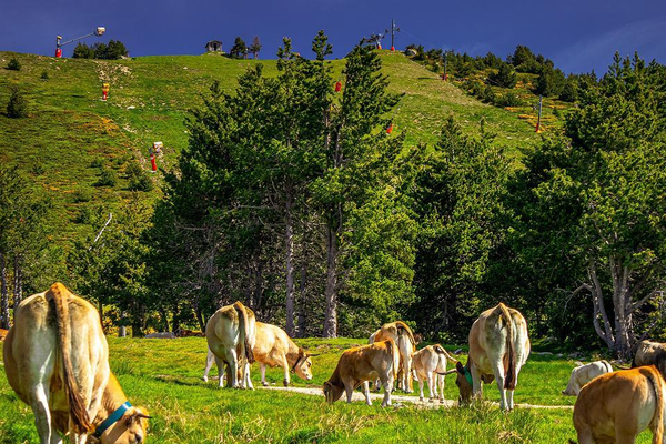 Gruissan-Aude (Francia) – Font Romeu (Francia) — Etapa 3 | Vuelta a España 2026